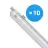 Mehrfachpackung 10x Philips LED Feuchtraumleuchte CoreLine WT120C G2 42.9W 6000lm - 840 Kaltweiß | 150cm 